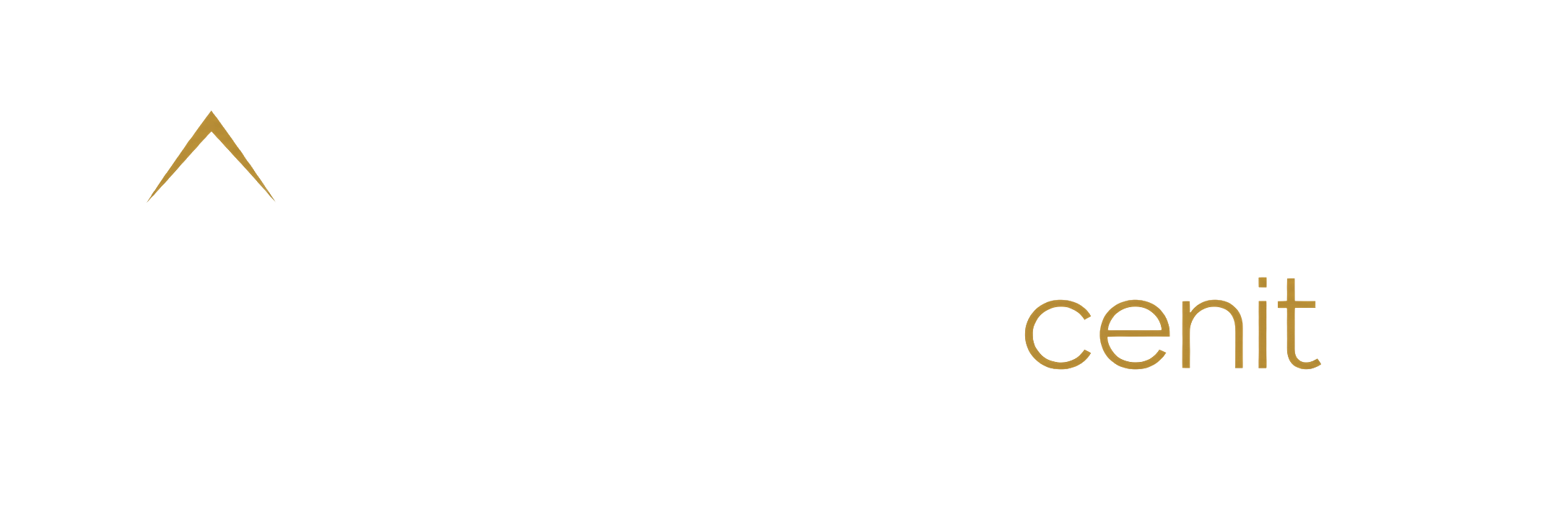 propiedadcenit.mx